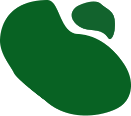 Decoración verde